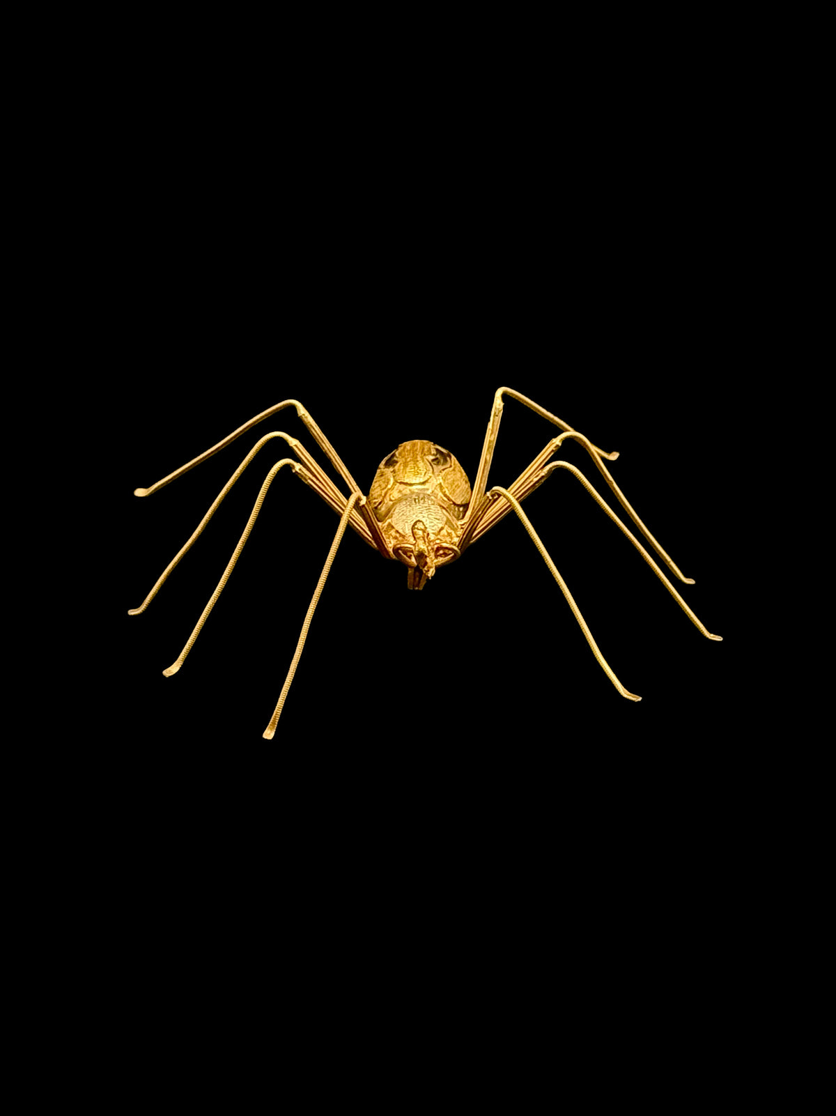 Broche arraignée