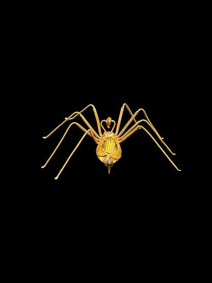 Spider brooch