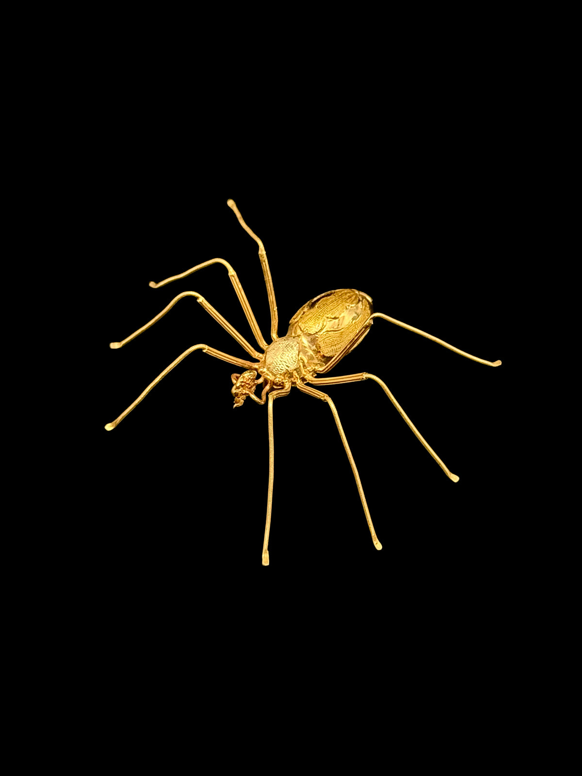 Spider brooch