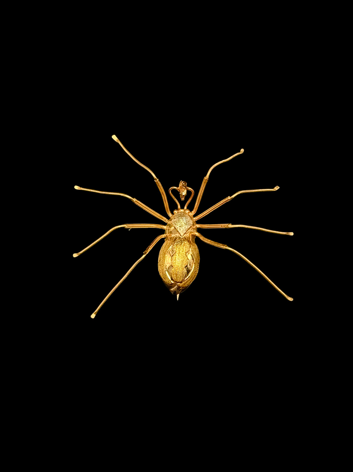 Spider brooch
