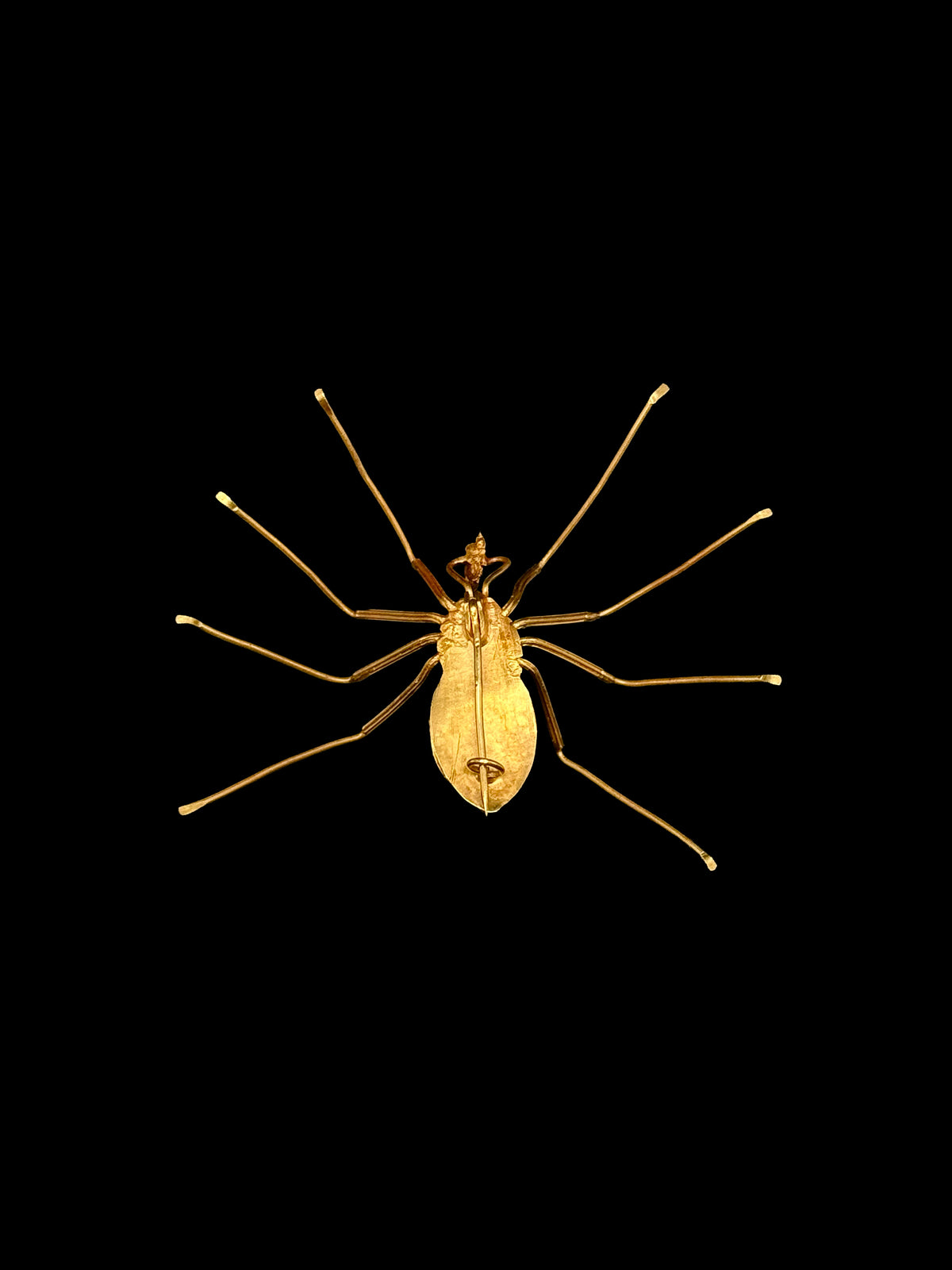 Spider brooch