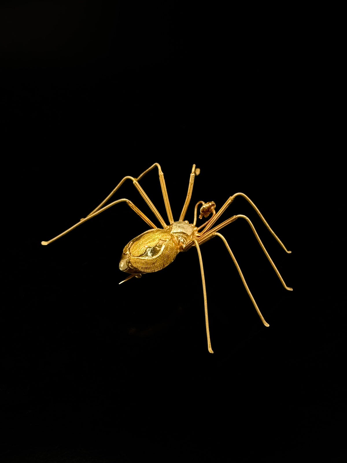 Spider brooch