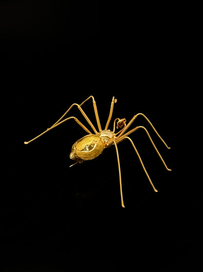 Spider brooch