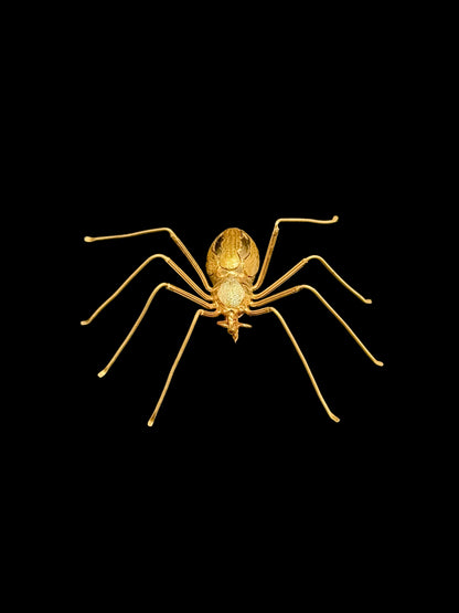Spider brooch