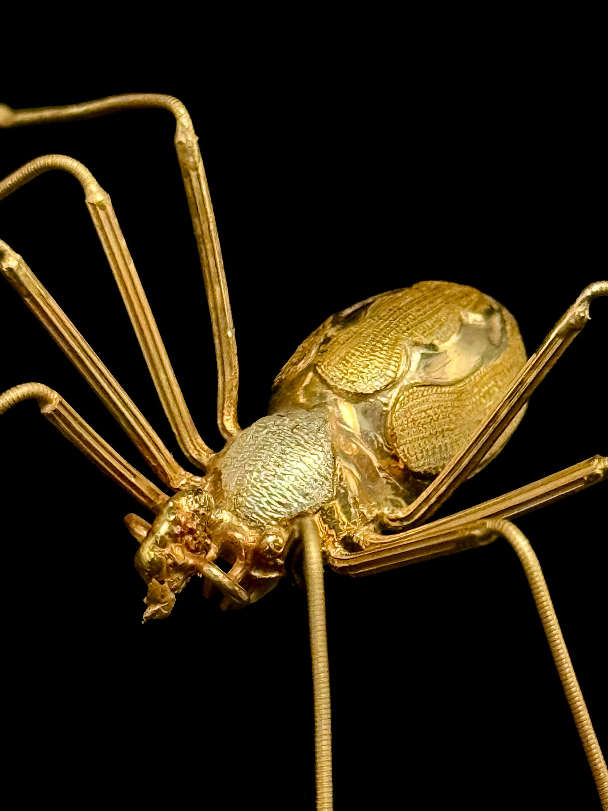 Spider brooch