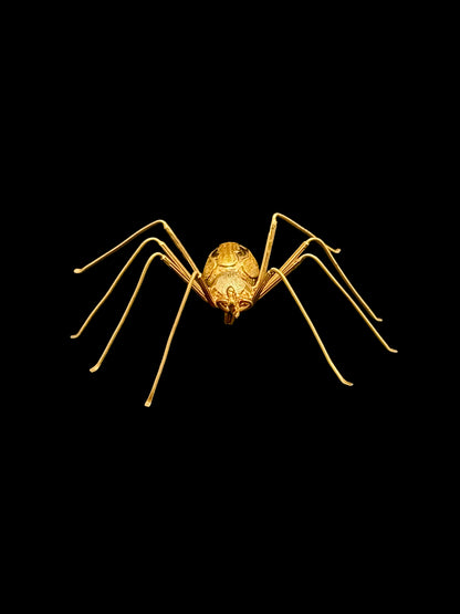Spider brooch