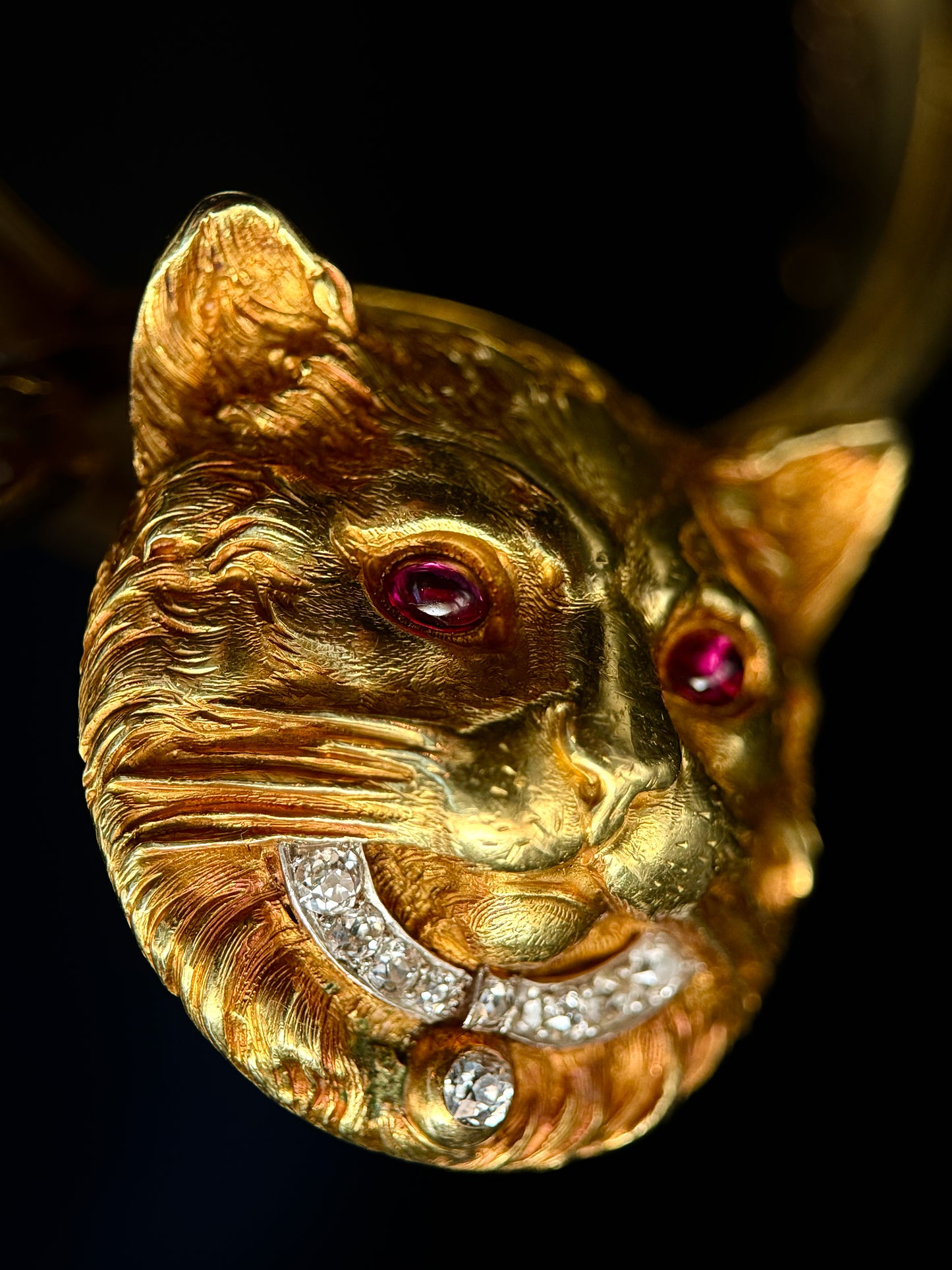 Bracelet montre chat