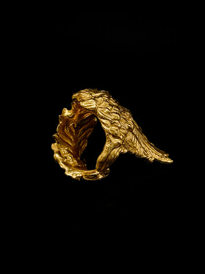 Bird wing ring