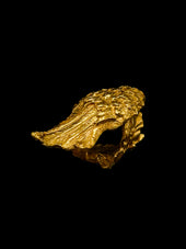 Bird wing ring