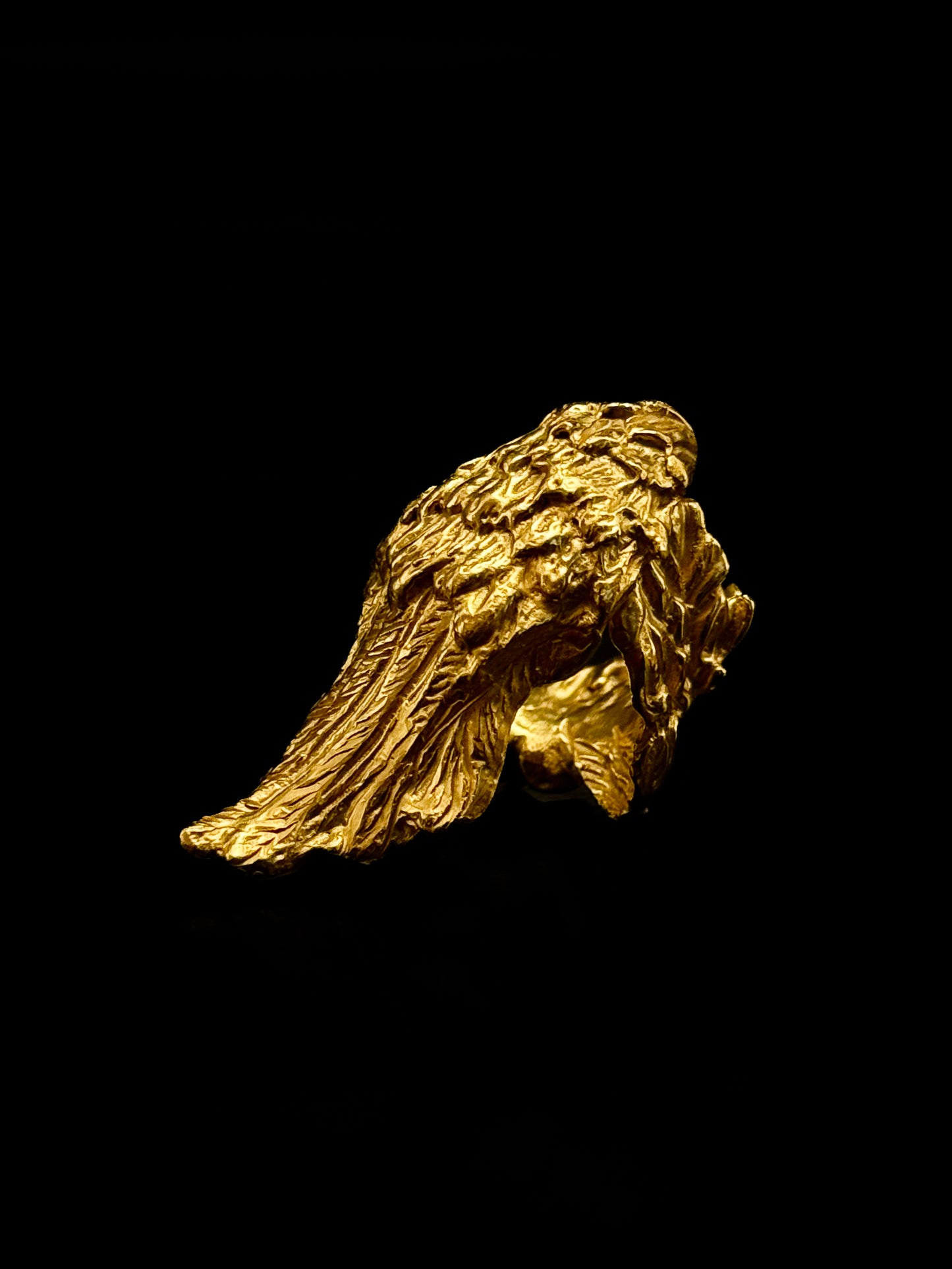 Bird wing ring
