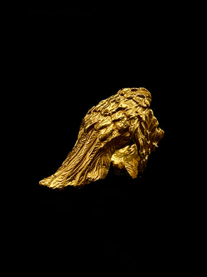 Bird wing ring
