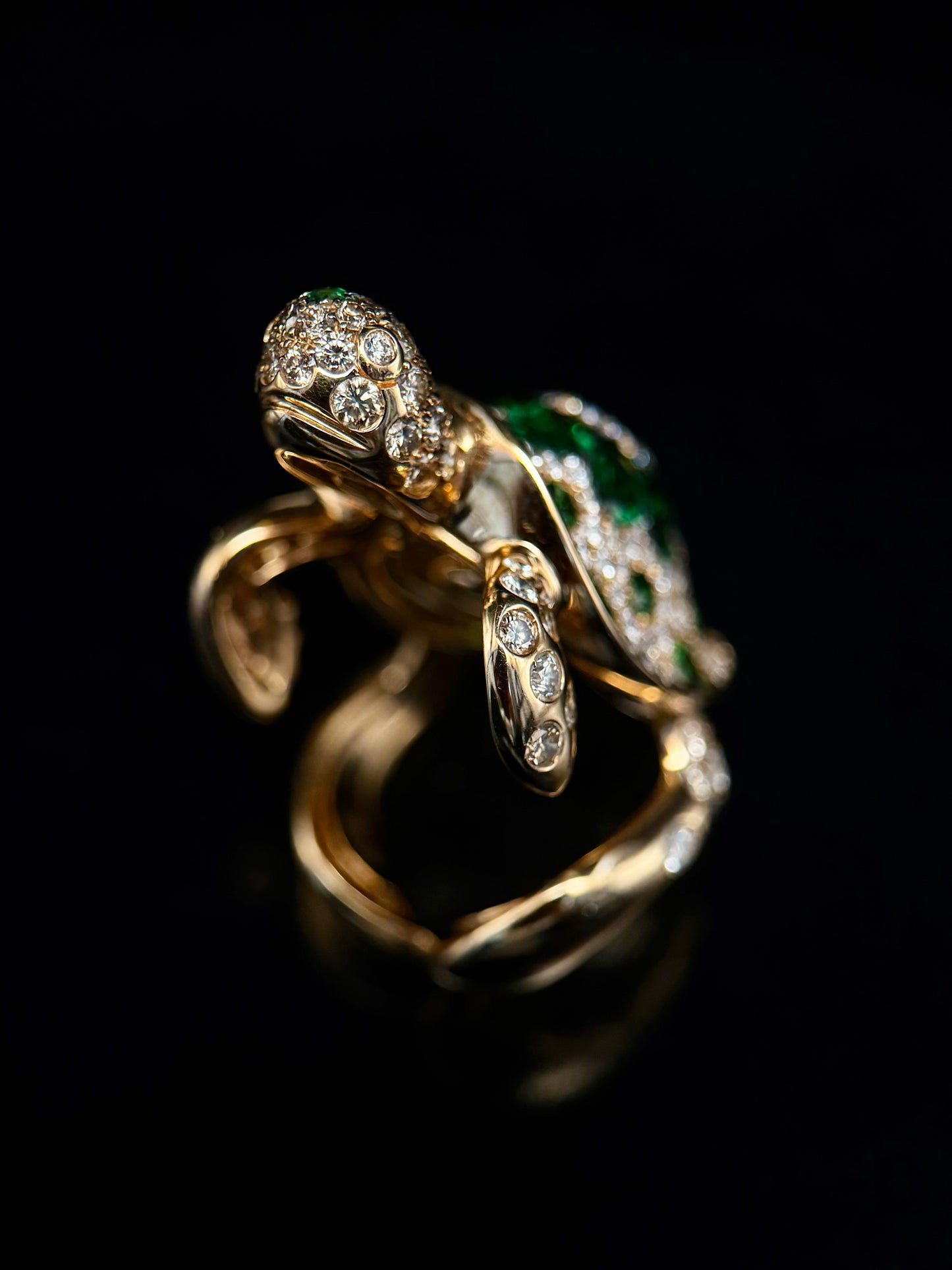 Turtle ring