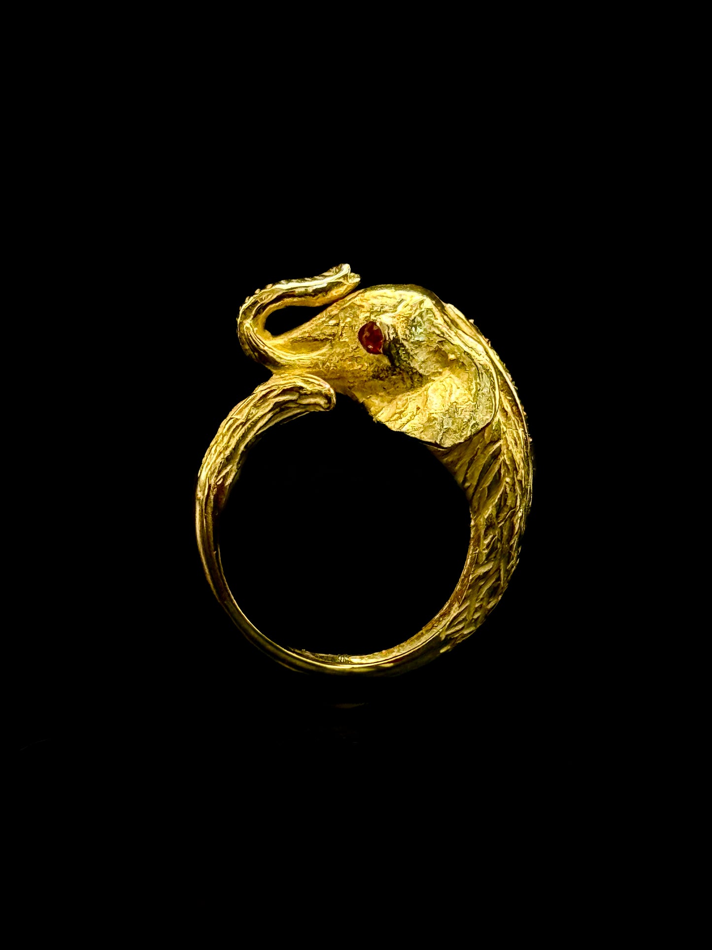 Elephant ring