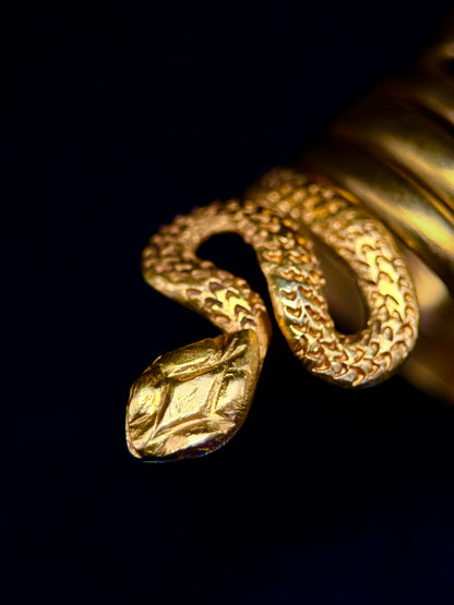 Snake ring
