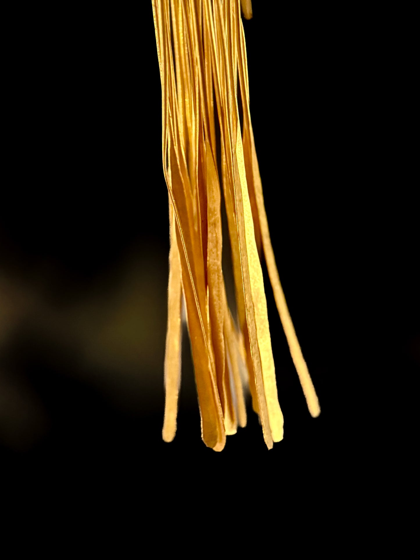 Indian Pompom earrings