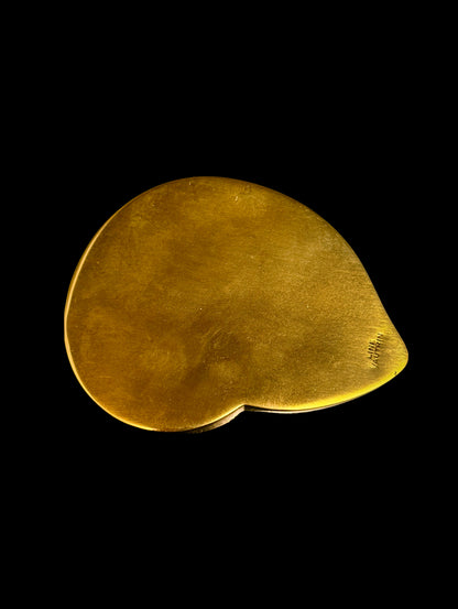 « Ammonite »