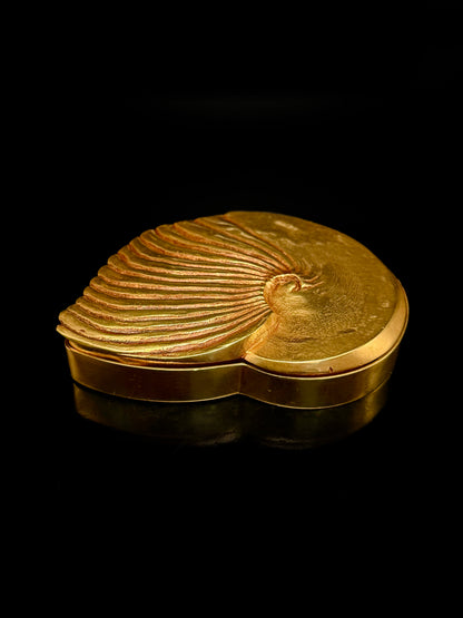 « Ammonite »