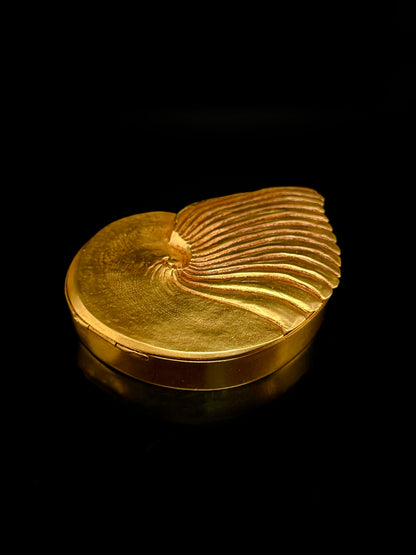 « Ammonite »