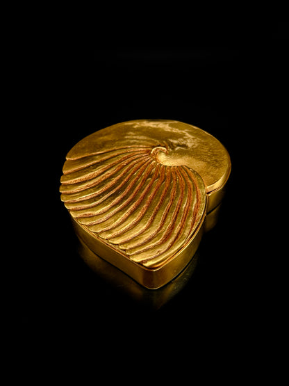 « Ammonite »