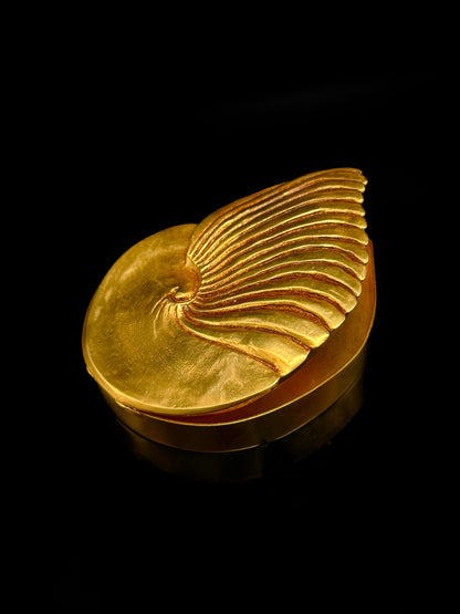 « Ammonite »