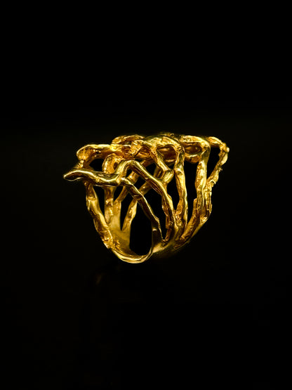 "Abstract" ring