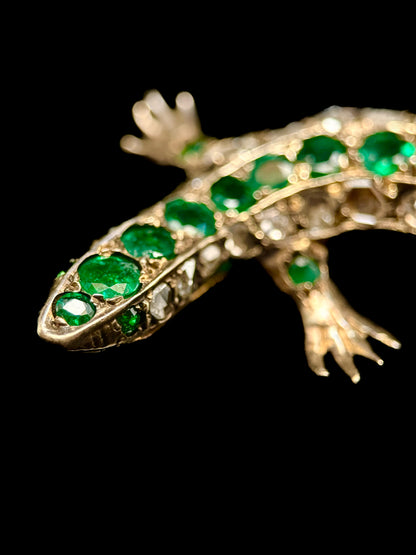 Broche salamandre