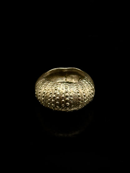 "Sea urchin" ring