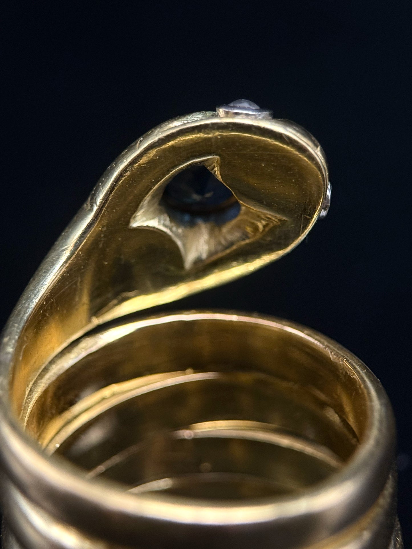 Snake sapphire ring